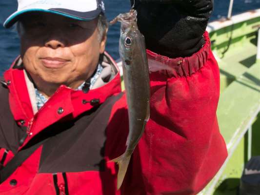 この場所では小、中サイズのマアジの活性が高かった。 ©釣りビジョン