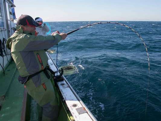 落とし込みサビキにヒットしたが残念ながらフックアウト。 ©釣りビジョン