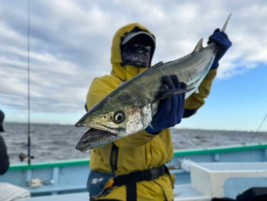 上がったのは78cmの良型！ ©釣りビジョン