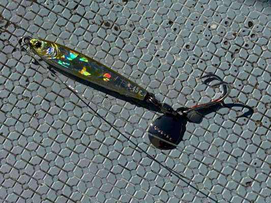 朝はブルピン、午後はチャートリュースに釣果が集中。 ©釣りビジョン