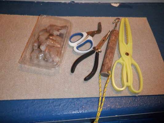 ハサミ、プライヤー、ハリ外し、魚バサミ。 ©釣りビジョン