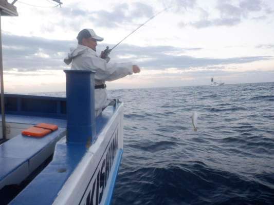朝イチからショウサイフグは良い活性を見せた！ ©釣りビジョン