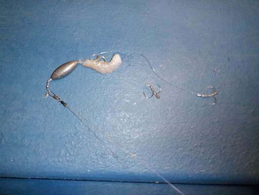 親バリを尾羽の切り口から刺し、針先を出してエビを真っ直ぐにする。 ©釣りビジョン