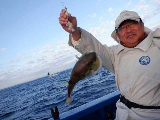 左舷大ドモ（船尾）のエキスパート、大きなサバフグ？ ©釣りビジョン