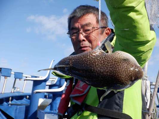 終盤の盛り上がりで大型のショウサイフグが連発！ ©釣りビジョン