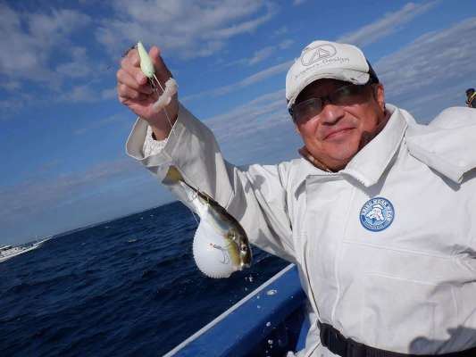 サバフグは少なく、交じっても20匹に1匹程度。 ©釣りビジョン