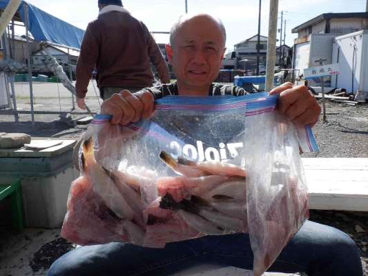 保存袋を持参して持ち帰り、家では水洗いして食べるだけ。 ©釣りビジョン