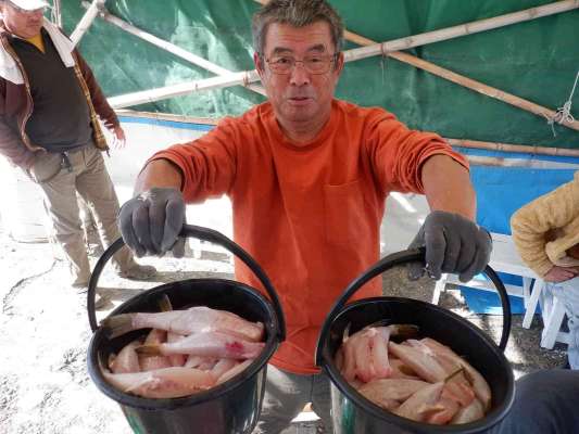 捌き終わった身欠きがこんなにたくさん！ ©釣りビジョン