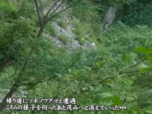 ツキノワグマとの遭遇場面。リスクマネジメントの重要性を説き、綺麗ごとだけでは許されない事実を投げかけてくれる。©釣りビジョン