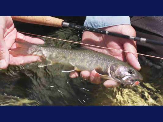 試行錯誤を繰り返した末の出会いは格別だ。普段から写真を撮ることで得難い感情を留めてくれる。©釣りビジョン