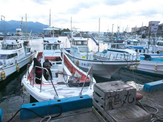 港の船沿いを通過して突き当たりが『鶴丸』の停泊場。 ©釣りビジョン