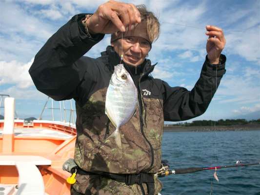 カイワリも顔を見せた。 ©釣りビジョン