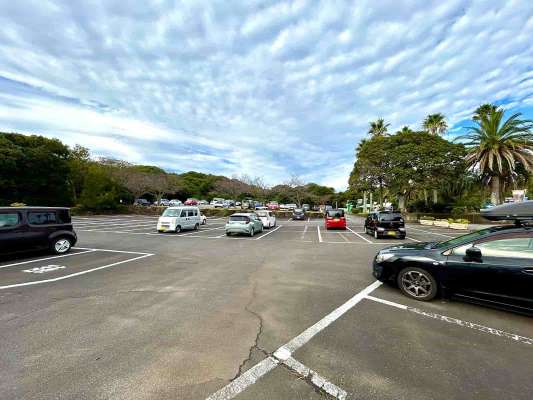伊豆海洋公園駐車場は24時間営業で一日700円と手頃な値段で利用しやすい。 ©釣りビジョン