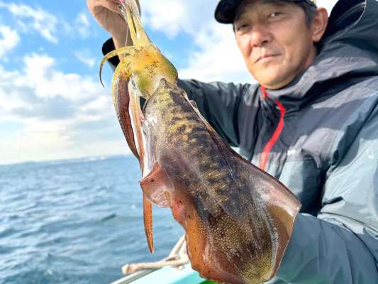 反対舷では鼈甲色の良型、今後のサイズアップが楽しみ。 ©釣りビジョン