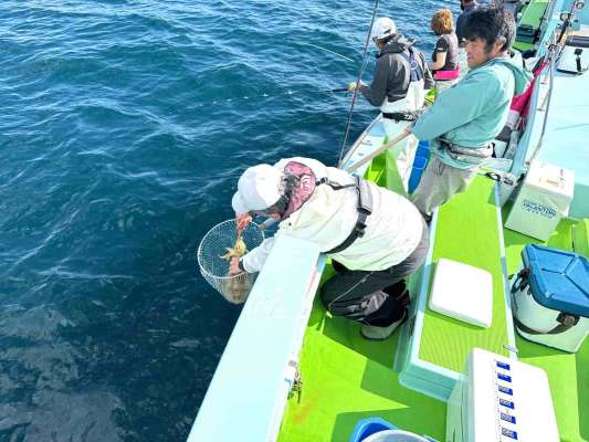 取り込みはエギを持って、イカの首根っこを掴む。 ©釣りビジョン