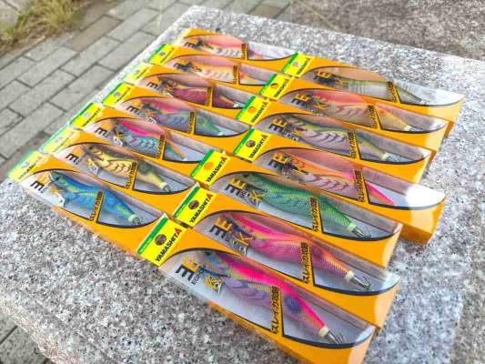 青いアイと羽根が目印の「エギ王K（ヤマシタ）」4号、スローフォールが武器。 ©釣りビジョン