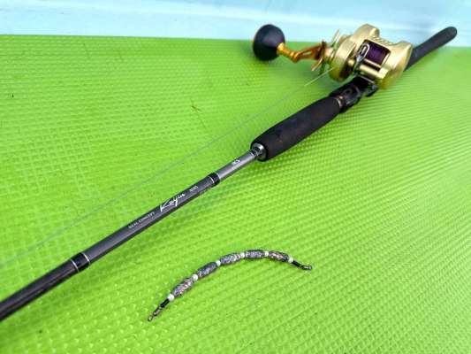 シャクリが楽な長竿釣法、触れたら最後、虜になる釣りだ。 ©釣りビジョン