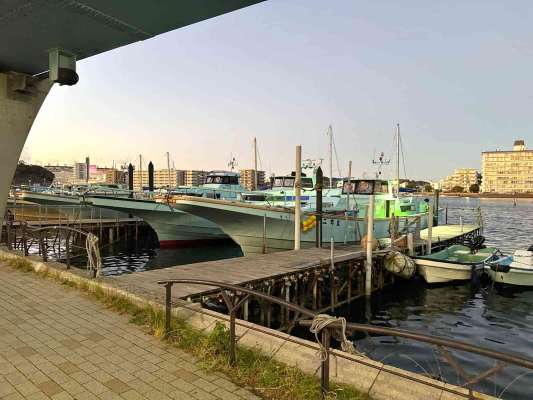 日の出から日没までたっぷり楽しめる船宿。 ©釣りビジョン