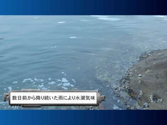 渡礁したのは港からすぐの「焼島の水道」に渡礁。2ケタの本命チヌを釣って楽しもうと思っていた猪熊氏であったが、仲間からの情報によると1週間ほど前に降った大雨の影響で状況はあまり良くないとのこと。水潮の影響で2枚潮になっていることが想定される。そんな状況の中、猪熊氏はどう攻めていくのか！？