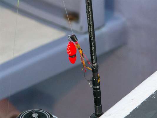 様々なスタイルの物がある。 ©釣りビジョン