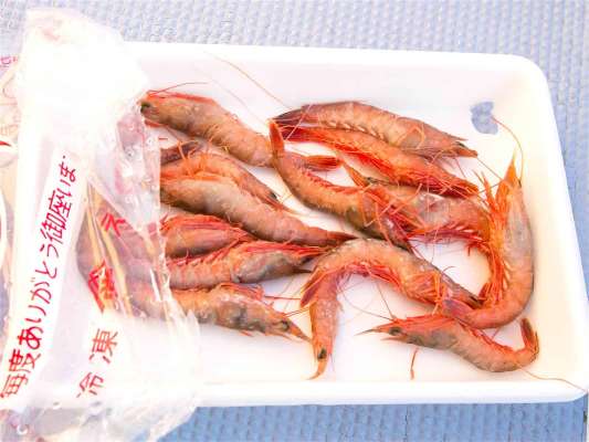 付けエサが配られるので解凍しておこう。 ©釣りビジョン