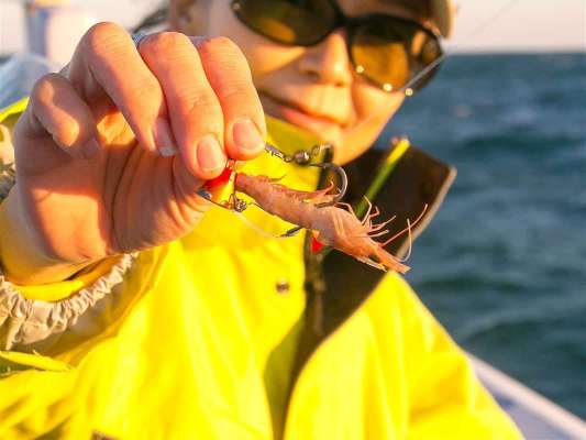 エサ付けが重要だ。 ©釣りビジョン