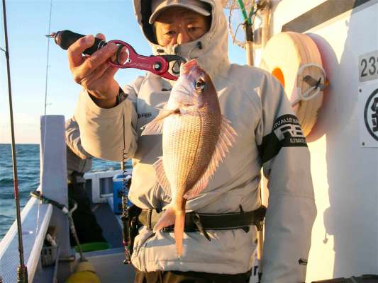 このクラス、一品料理の最高なサイズ。 ©釣りビジョン