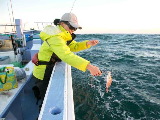 できるだけ魚体に触れずリリースしたい。 ©釣りビジョン