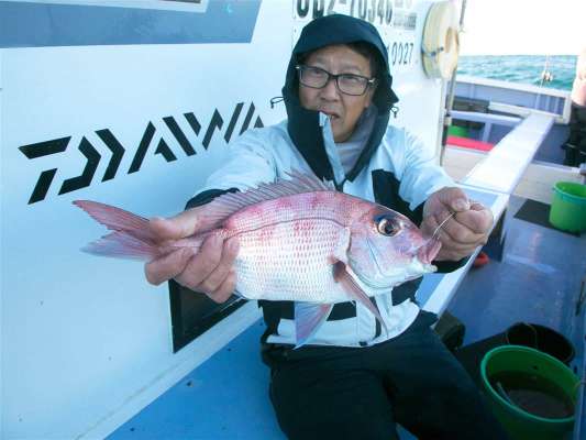 軽い道具でマダイの引きを思う存分味わえる。 ©釣りビジョン