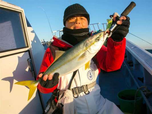 この時期のイナダは最高に美味。 ©釣りビジョン
