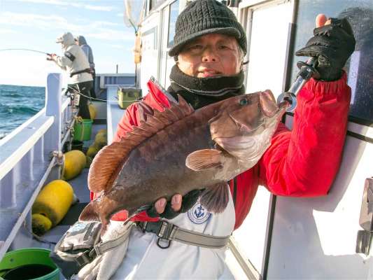 マハタ。 美味しい魚ゲット。 ©釣りビジョン