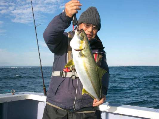 ヒラマサも登場。 胸鰭の位置でワラサと判別できる。 ©釣りビジョン