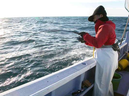 タックル、ラインの進化で不意の大物に対応できるのが凄い。 ©釣りビジョン