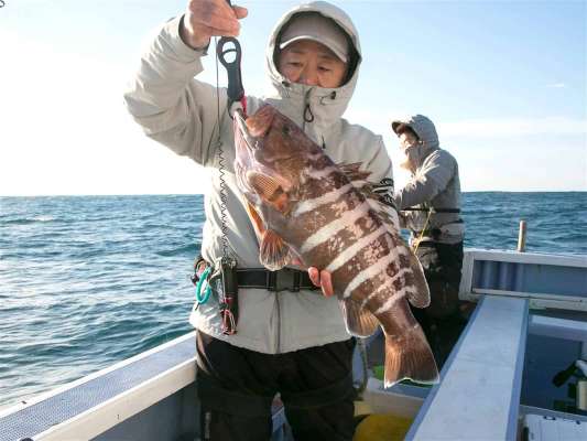 この時期最高の食材。 ©釣りビジョン