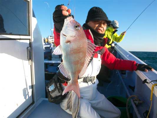 マダイもアベレージアップ。 ©釣りビジョン