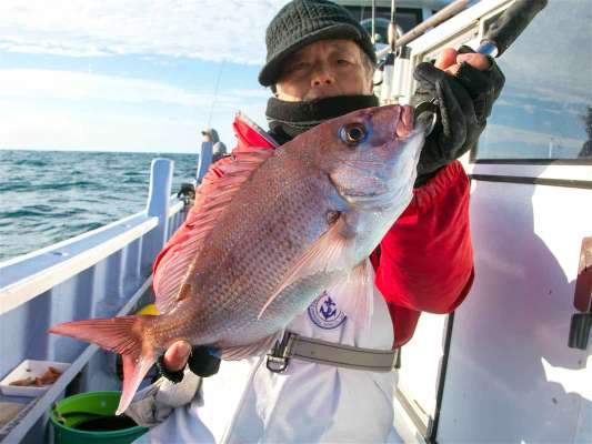 初挑戦でも「楽しい」とテンヤを満喫。 ©釣りビジョン