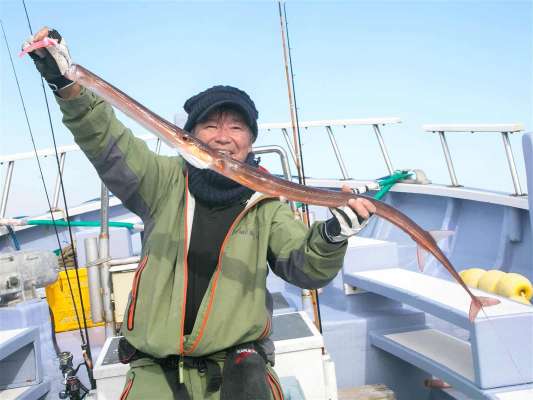 アカヤガラ。 ©釣りビジョン