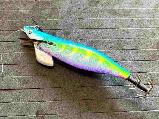 はじめに使用した【ティップランナー】の3号。カラーは「ジュエルケイムラ」です。 ©釣りビジョン