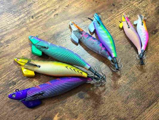 Crazy Oceanの【ティップランナー】シリーズ。2.5号から3号まで用意しました。 ©釣りビジョン