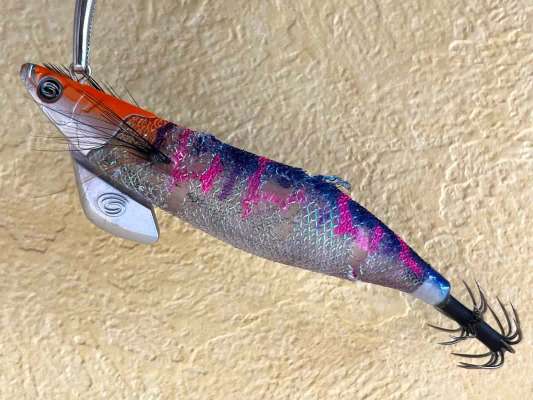 今回の釣行で3杯キャッチしたのが【ティップランナー3号】の「マジカルケイムラ／クリア」カラー。エギのボディについた歯形は歴戦の証。“釣れるエギ”であることを物語っている。スペック＝サイズ：3号 、ウエイト ：25g。 ©釣りビジョン