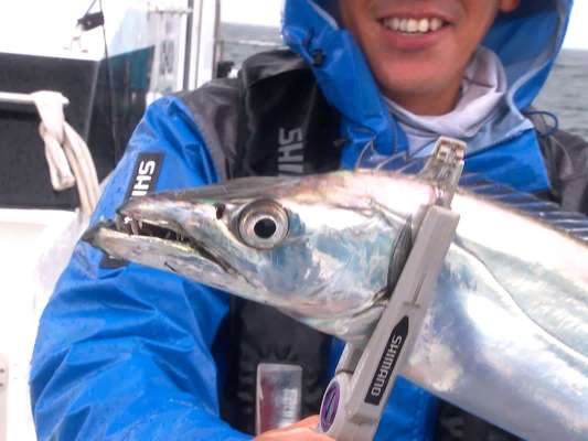 このサイズになると顔がいかつい！©釣りビジョン