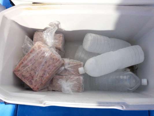 追加のコマセ（オキアミ1.5kg）と予備のペットボトルの氷。 ©釣りビジョン