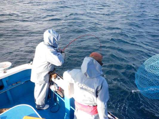 左舷大ドモ（船尾）にもアタリ！釣り人同士でタモ入れをサポート。 ©釣りビジョン