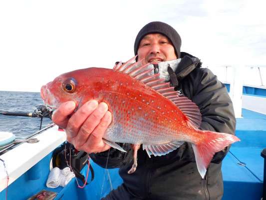 綺麗なマダイ！秋のシーズンは1kg前後中心に数が望める！ ©釣りビジョン