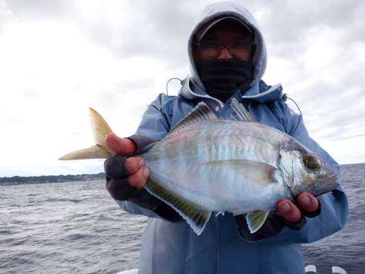 強烈な引きとともに上がってきたのは大きなカイワリ！これは良い！ ©釣りビジョン