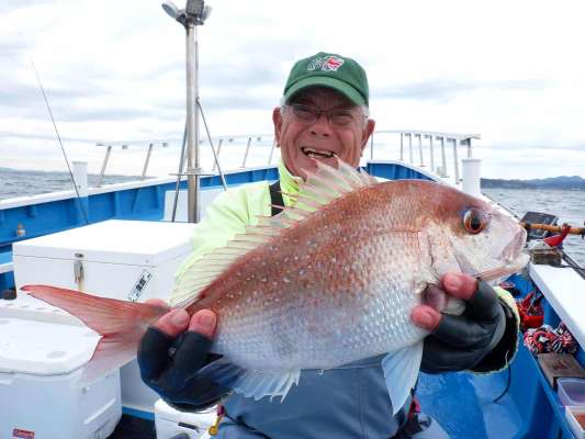 2kgに迫る大きさ！良い型のマダイが釣れた！ ©釣りビジョン