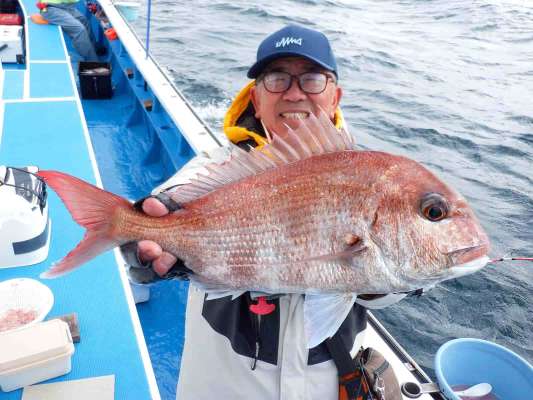 記者も良型のマダイをゲット！下船後に計量したら1.3kgだった！ ©釣りビジョン