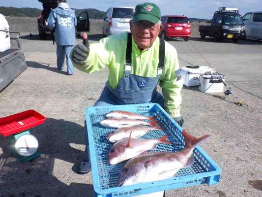 マダイ5匹！この日の竿頭。 ©釣りビジョン