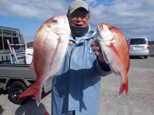 「マダイの他、カイワリ、大サバ、ヒラソウダ、楽しい釣りでした！」 ©釣りビジョン