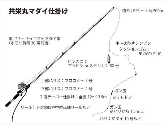 『共栄丸』マダイ仕掛け図。 ©釣りビジョン